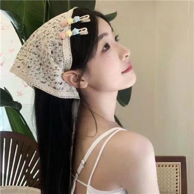 方案